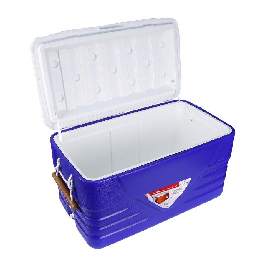 Thermos hot sale ice box