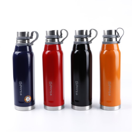 Generic Vacuum Thermos Stainless Steel Bottle 800 mL - 4 Color Pack